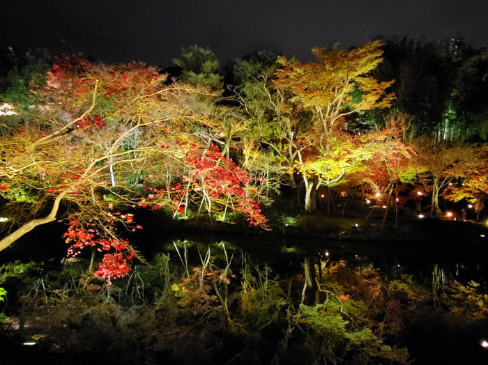 秋はやっぱり紅葉の綺麗な京都へ♪