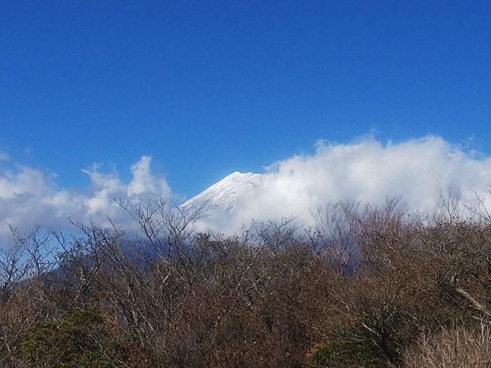 【日帰り登山】富士山を支える山・愛鷹（あしたか）山塊に登る