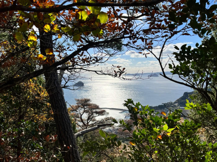 隠岐諸島で山登り！？山頂は海と大地の贅沢スポットを独り占めだった！