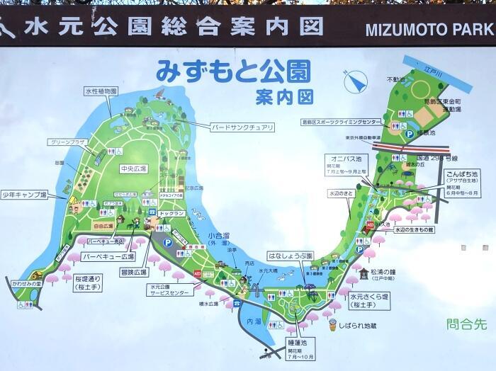 【東京】毎月楽しめる！都内最大の水郷公園「水元公園」の12か月