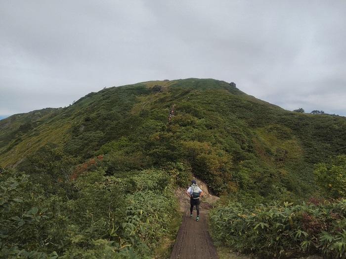 【初秋の登山】花と日本の百名山　苗場山と谷川岳へ！上信越山旅