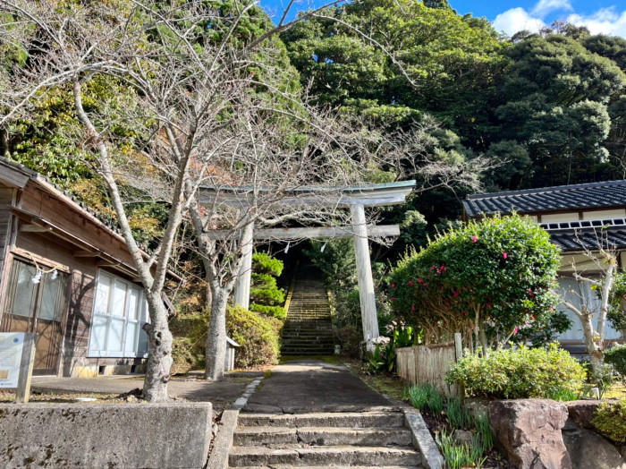 隠岐諸島で山登り！？山頂は海と大地の贅沢スポットを独り占めだった！