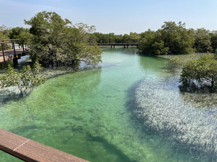 Jubail Mangrove Parkでマングローブの中を歩こう！
