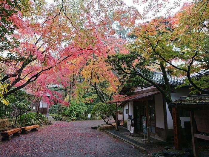 【静岡県】箱根西麓三島野菜を富士山を望む絶景の中で食べてきた