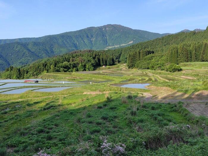 兵庫県の最高峰 氷ノ山を望む棚田とハチ高原オートキャンプ場で自然に浸る