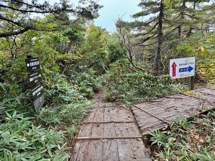 【日本百名山】20座目は紅葉の絨毯を見に安達太良山へ（福島県）