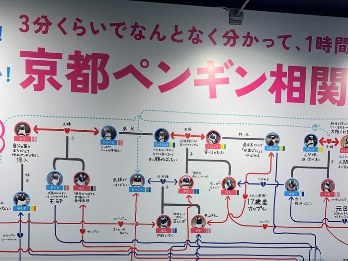 京都のど真ん中で「密」回避！？芝生に電車に水族館でゆっくりと休日を過ごそう！