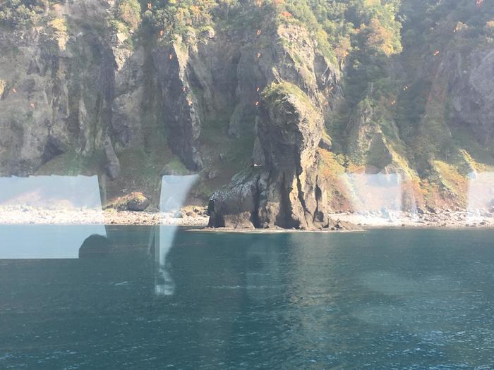 初めての北海道は自然や動物に出会い人生観が変わる旅