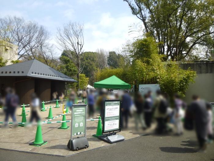 【東京】双子の赤ちゃんパンダ公開！上野動物園でシャオシャオとレイレイに会ってきました