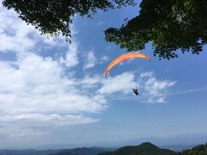 【奥武蔵で眺望の良い山】丸山・堂平山を縦走。最後に襲った悲劇とは・・・