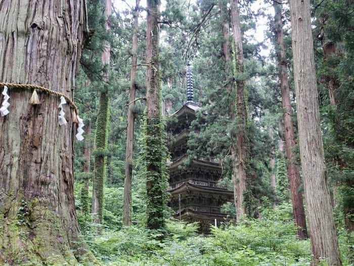 【山形】出羽三山は12年に一度の丑歳御縁年を迎えています