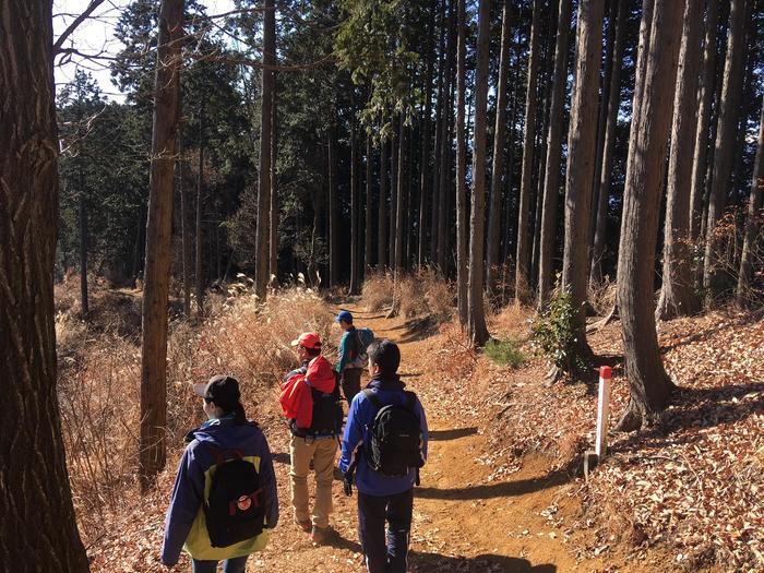 【山登り道】冬山にはなぜ魅力があるのか？＜景信山～城山～高尾山編＞