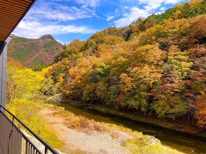 【群馬県】面積の約95%が森林という、自然に溢れた上野村で私が受け取ったものとは？