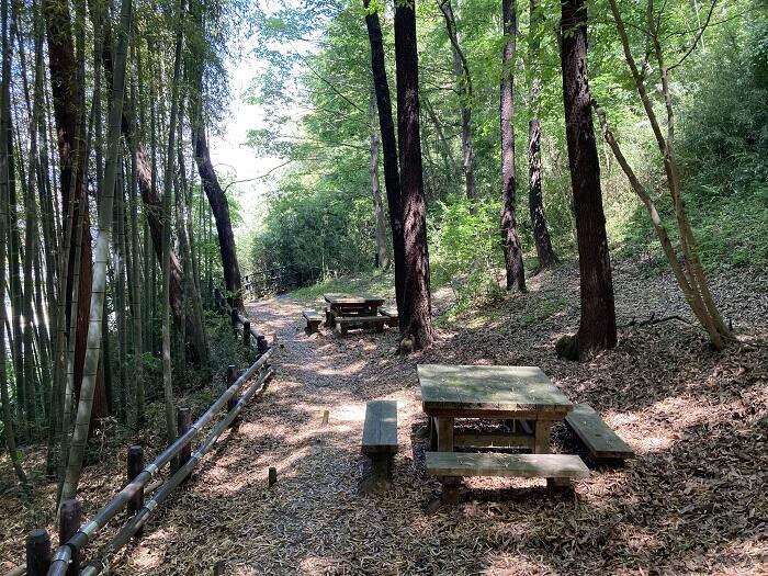 【八王子】とても公園とは思えない、しっかり山歩きを楽しめる「長沼公園」を歩く