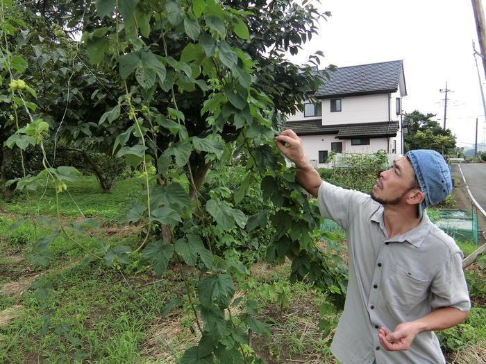 富士・富士宮の観光におすすめ！豊富なグルメにおしゃれなカフェなど