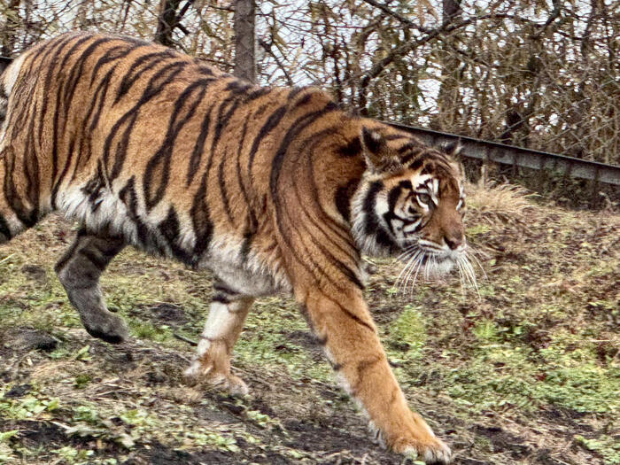 約48年ぶりの訪問！「九州自然動物公園アフリカンサファリ」園内レポート