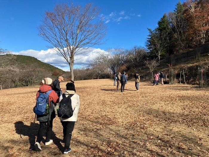 【群馬・藤岡市】桜山公園で森林空間を楽しむセラピー・トレイル体験モニターツアー