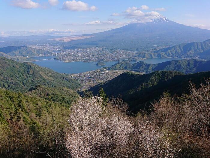 【山梨県】FUJIYAMAツインテラス から見る富士山と河口湖の絶景