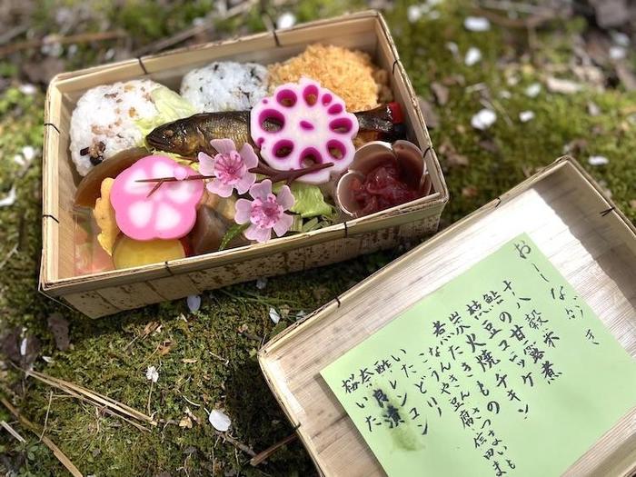 奇跡の光景！吉野山をピンクに染め上げる山桜、来年までに知っておきたい絶景スポット