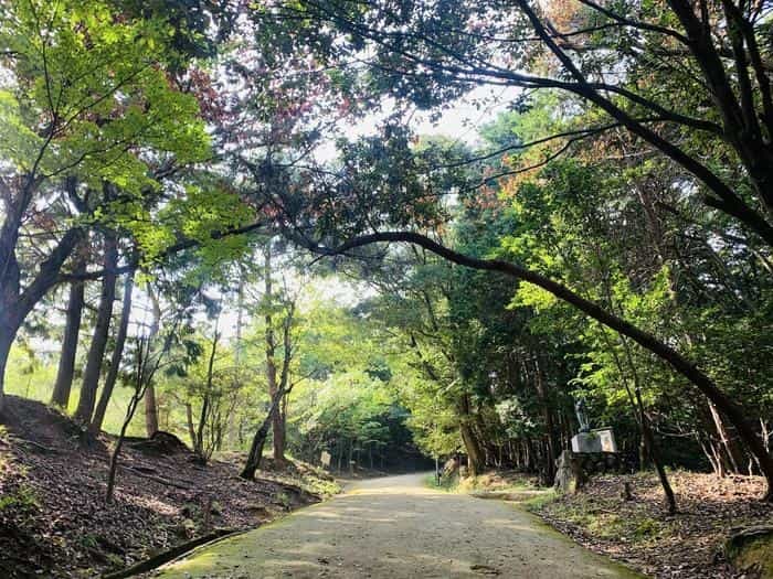 【兵庫】 書写山 圓教寺で神秘的な癒しを手に入れよう！