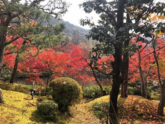 紅葉に食べられそう...秋の京都「南禅寺」と「永観堂」は素晴らしかった！