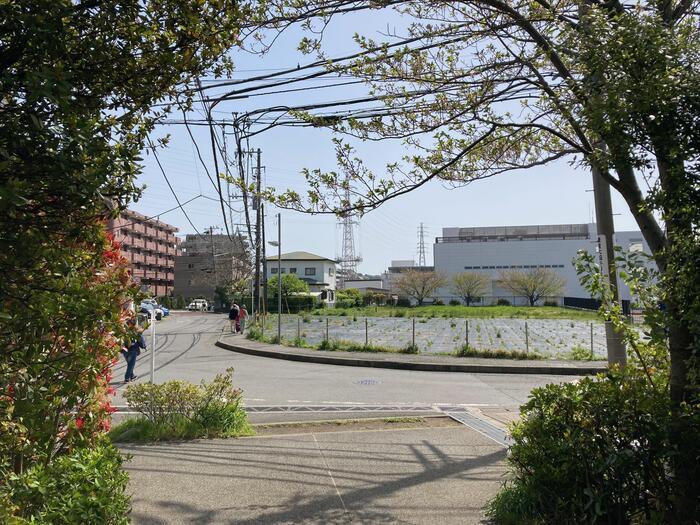 【鎌倉】地元民が教える大船〜北鎌倉のマニアックおさんぽ道