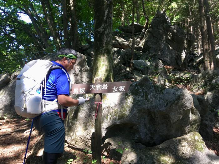 【奥武蔵】武川岳～焼山～二子山 縦走登山ルート