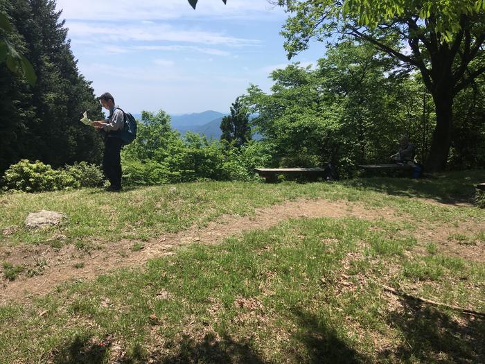 【奥武蔵】武川岳～焼山～二子山 縦走登山ルート