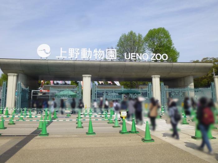 【東京】双子の赤ちゃんパンダ公開！上野動物園でシャオシャオとレイレイに会ってきました