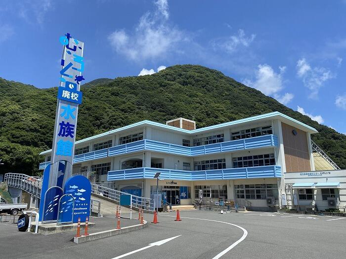 【高知】大人も楽しいぞ！ノスタルジックな「むろと廃校水族館」へ行こう