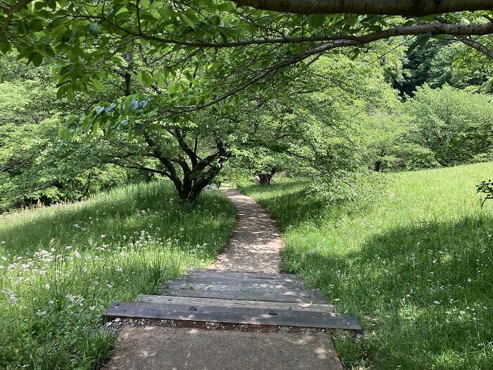 【八王子】とても公園とは思えない、しっかり山歩きを楽しめる「長沼公園」を歩く