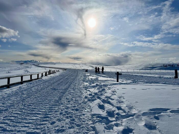 【日本百名山】15座目は美ヶ原（王ヶ頭）のパノラマコースを雪中ウォーキング（長野県）