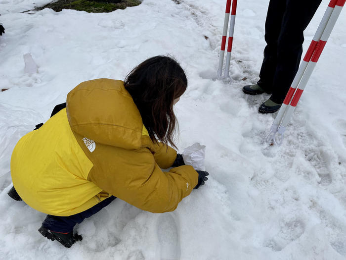 【新潟】第38回長岡雪しか祭りに行ってきました！※2023年は終了