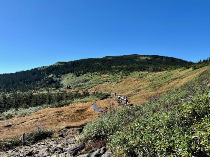 【日本百名山】22座目は西吾妻山...初級者向け？いえいえ結構大変な山でした（山形県・福島県）