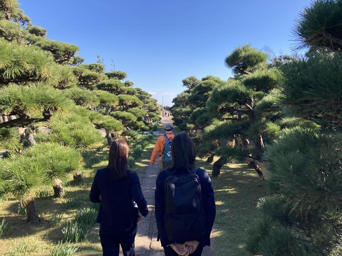 【神奈川県】三浦半島の南にある「城ケ島」は想像以上に自然を楽しめる穴場観光スポット