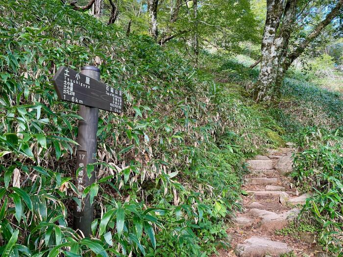 【日本百名山】19座目の石鎚山はまさに修行の山（愛媛県）