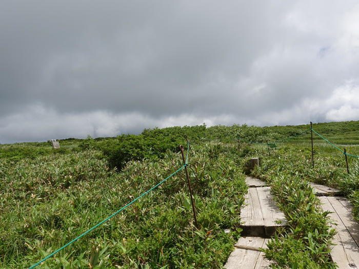 【山形】月山八合目・弥陀ヶ原湿原の歩き方