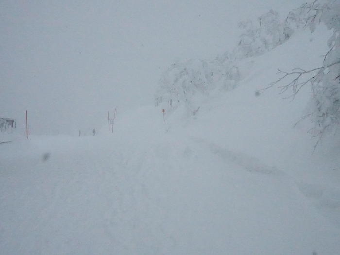 【秋田】日本三大樹氷「森吉山」で見上げる雪の造形美