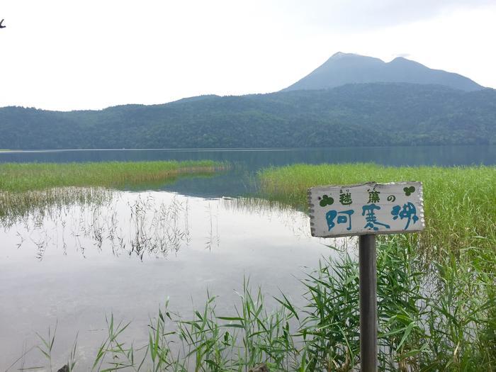 目で!肌で!五感で!北海道・道東の大自然を感じてきました!