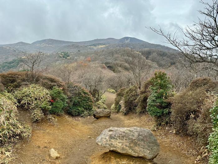 【日本百名山】26座目は摩訶不思議な世界が広がる久住山（大分県）