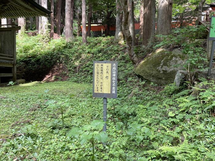 謎のアラハバキ神！？東北最強のパワースポット・丹内山神社【岩手県花巻市】