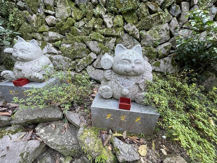 【徳島】猫神様に合格祈願！？「お松大権現」は猫好き必訪のパワースポット