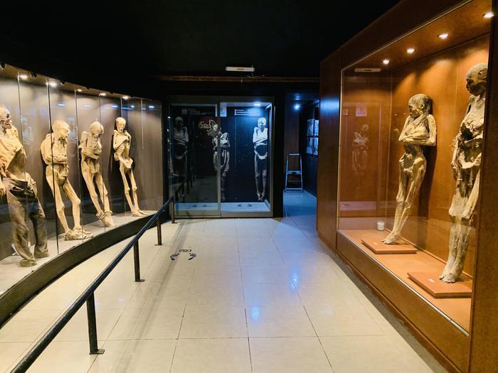 【メキシコ】グアナファトのミイラ博物館が私たちに教えてくれること