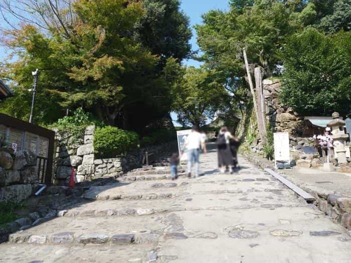 【愛知】国宝 犬山城と有楽苑～犬山城を内部から・庭園から・橋の上から楽しみ尽くす！