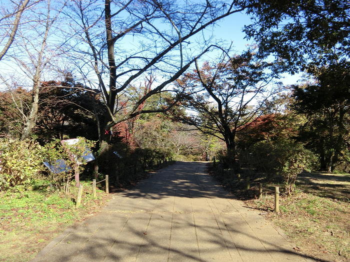 弘法山公園（弘法山）は初心者にも優しいお手軽ハイキングコース