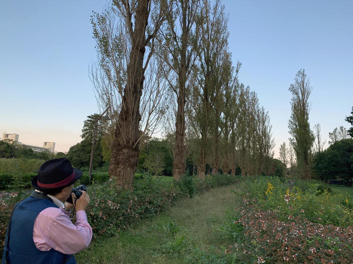 劇的な紅色に染まる葉と花、空。 晩秋・初冬は葛飾区水元公園に行こう！