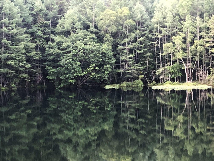 【長野県】神秘的な青の風景を求めて。東山魁夷『緑響く』のモチーフとなった御射鹿池。