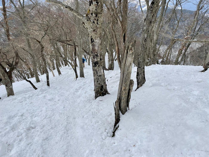 【滋賀】雪山入門編　眺望が素晴らしい綿向山