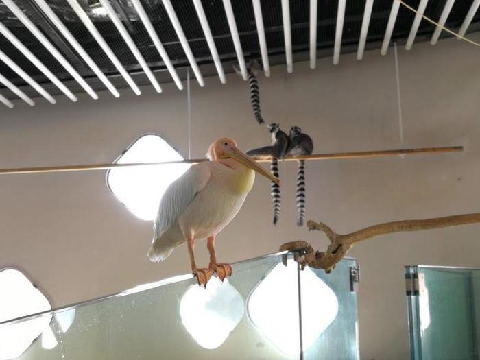 【大阪府／吹田市】水族館や動物園が融合した観光スポット・ニフレルを徹底解説！