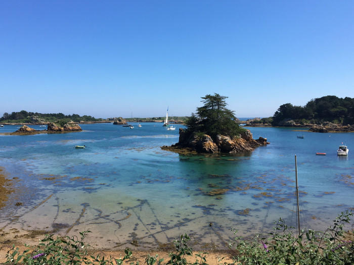 【フランス】大自然の神秘！バラ色の巨石海岸と海鳥の王国